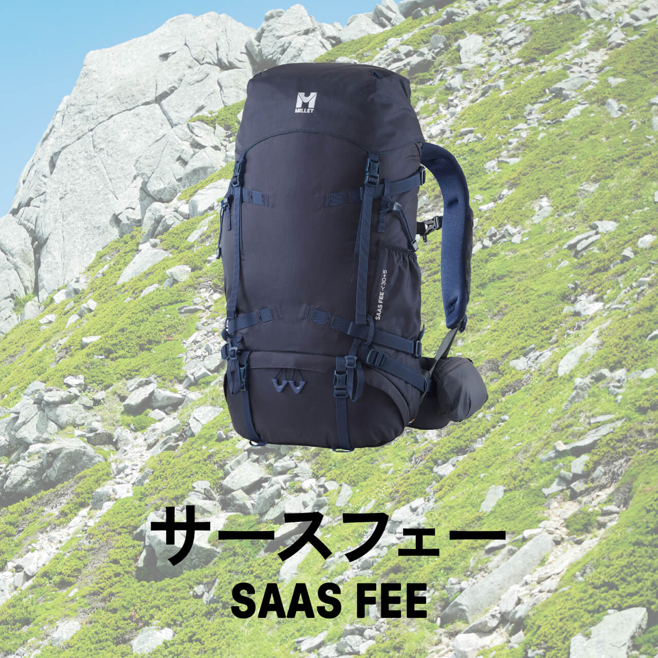 SAAS FEE