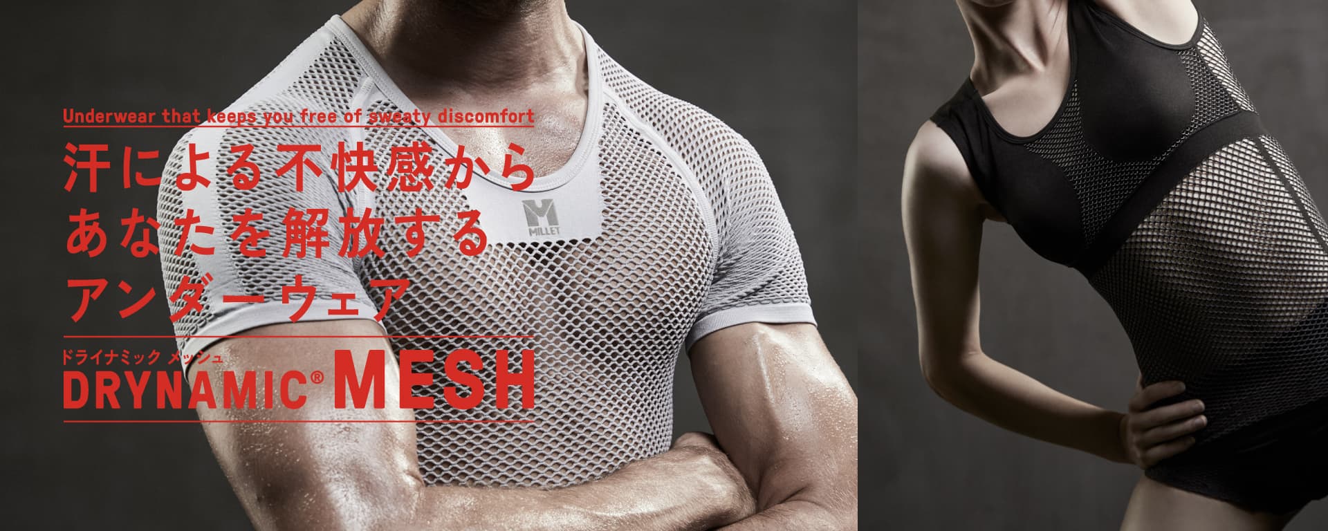 DRYNAMIC MESH
