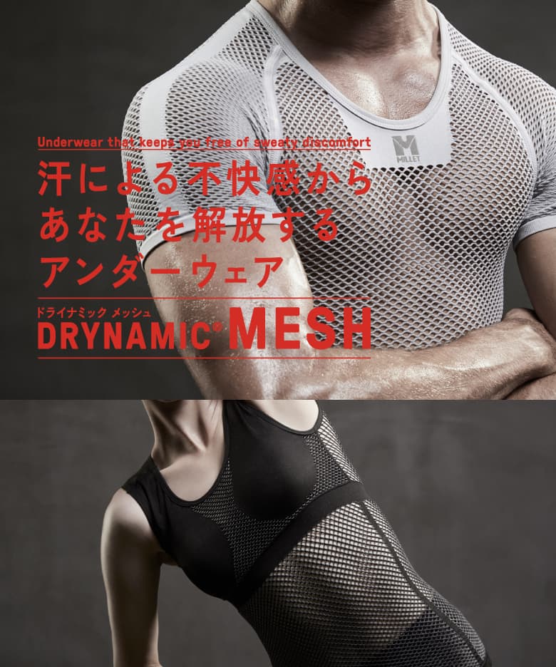 DRYNAMIC MESH