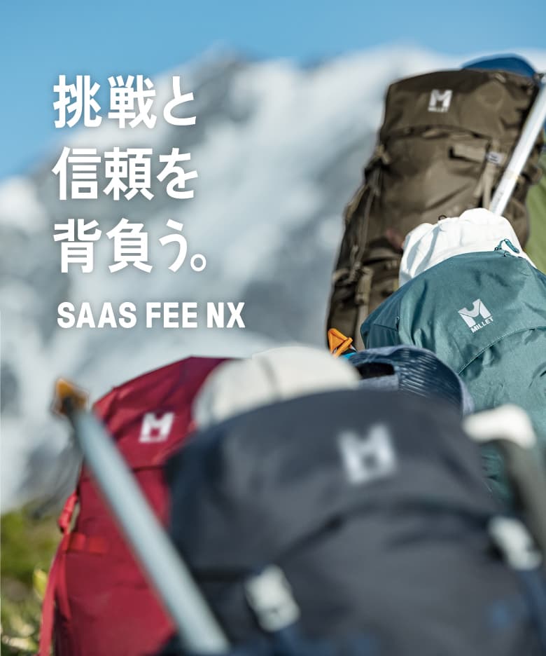 SAAS FEE